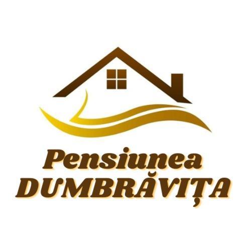 Pensiunea Dumbravita Dumbrava  Экстерьер фото